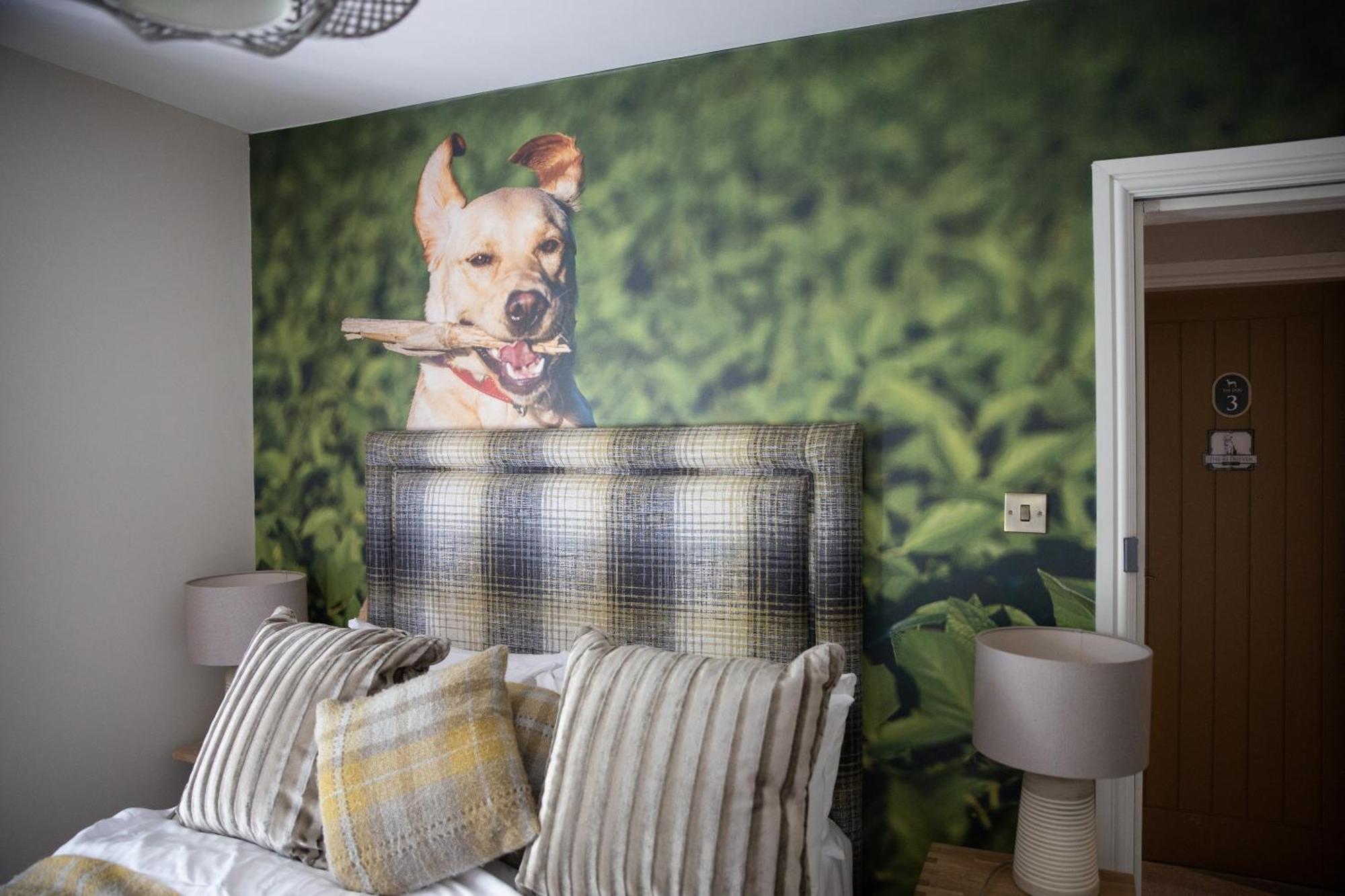 The Dog In Over Peover Knutsford Exterior photo